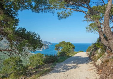 İtalya 'da Apulia' da denize bakan Akdeniz çamı ile tepelerde demiryolu