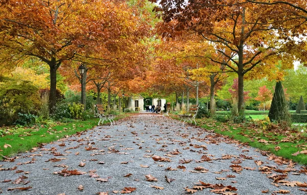 Herfst openbare tuin — Stockfoto