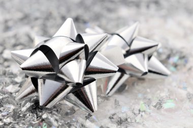 bir parkta renkli ağaçlar