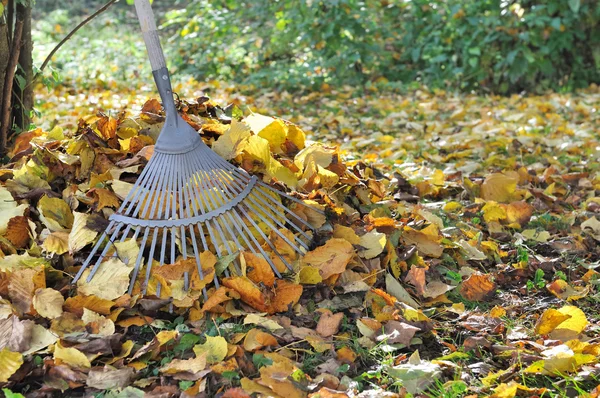 Jardinagem no outono — Fotografia de Stock