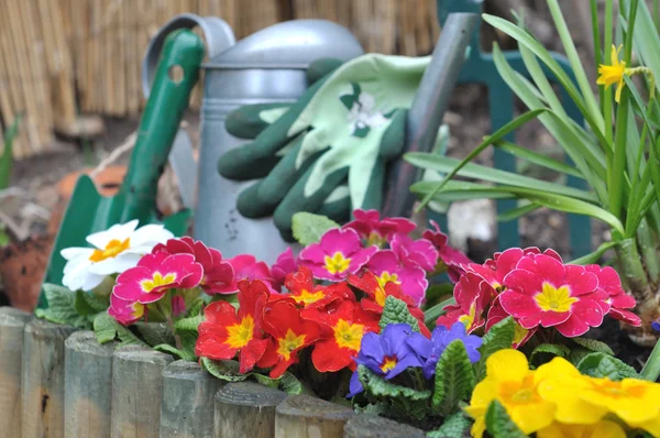 Tuinieren op voorjaar — Stockfoto