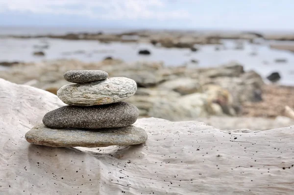 Stones on driftwood — Stock Photo, Image