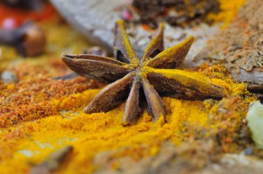 baharat ANIS Star'da