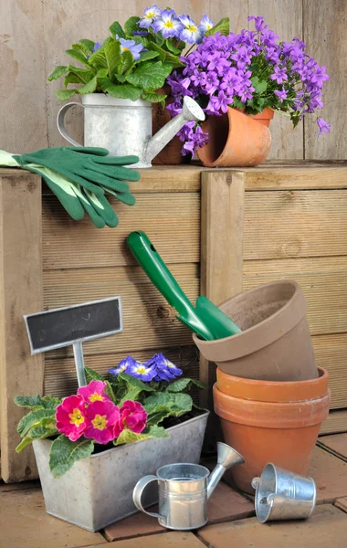 Accessori giardinaggio e fiori — Foto Stock