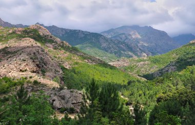 dağ Corsica'deki / daki