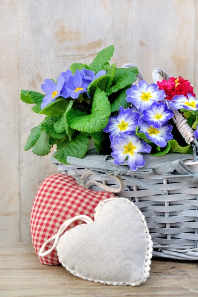 Romantic basket with flowers — Stock Photo, Image