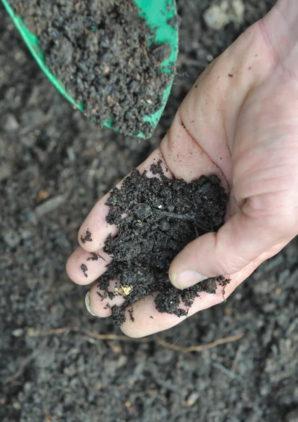 Soil in a hand — Stock Photo, Image