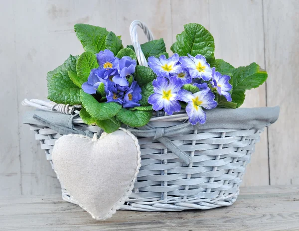 Lovely basket for celebration — Stock Photo, Image