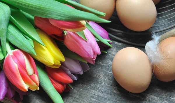 Tulipanes y huevos — Foto de Stock