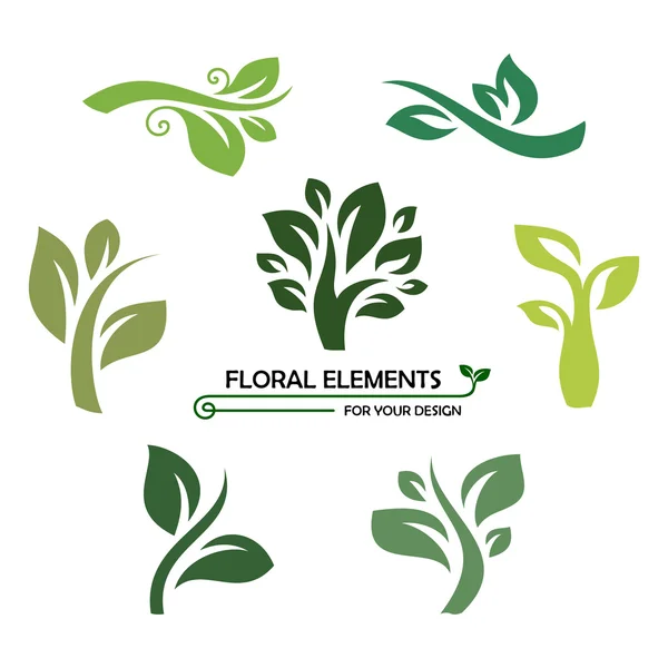 Éléments floraux - icônes ou logos — Image vectorielle
