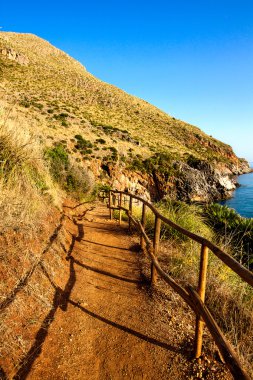 bir şekilde doğaya 