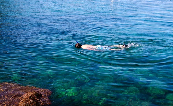 Buceo, snorkel, snorkel, isla, indonesia, yo — Foto de Stock