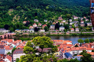 Heidelberg, Almanya 