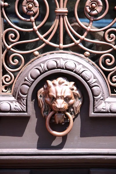 A Lion knocker on a stained door. — Stock Photo, Image