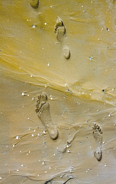 Footprint — Stock Photo, Image