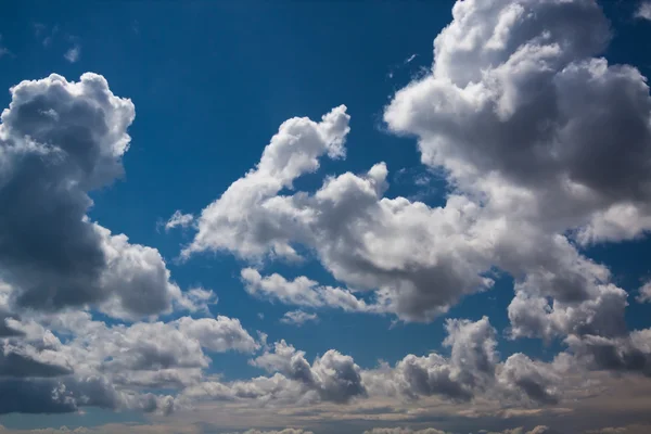 Strong sun and skies — Stock Photo, Image