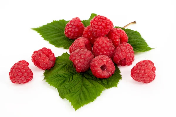 Rijpe frambozen met blad — Stockfoto