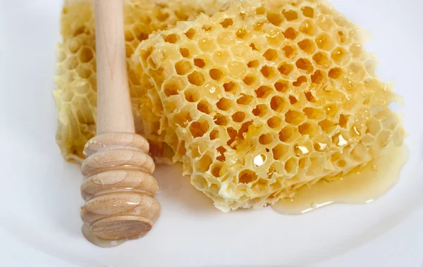 Honey — Stock Photo, Image