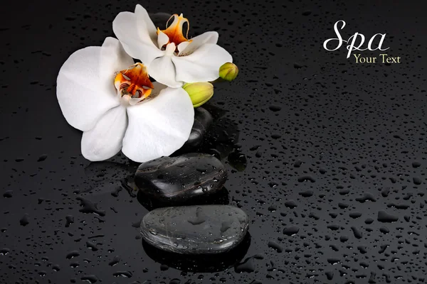 Spa Stone — Stock Photo, Image