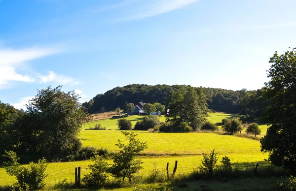 Feldweg auf der grünen Wiese führt zu einem Bauernhaus — Stockfoto