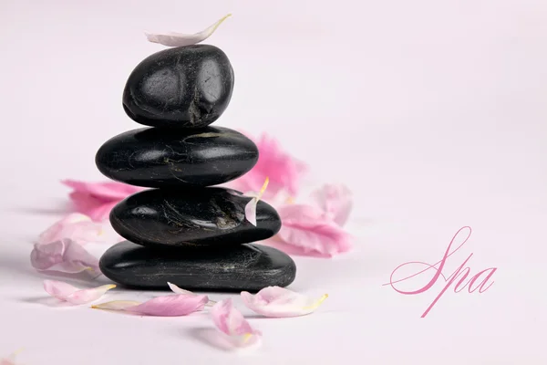 Spa sınır tasarlamak