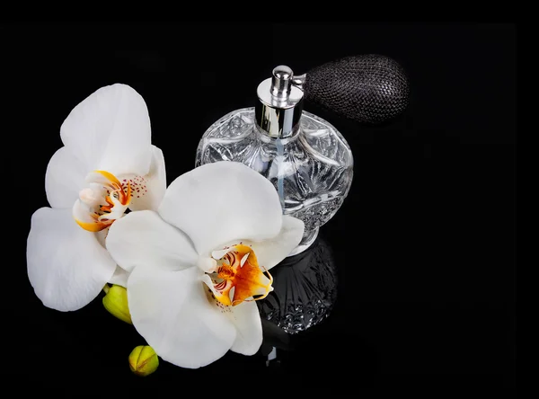 Luxurious perfume bottle atomizer — Stock Photo, Image