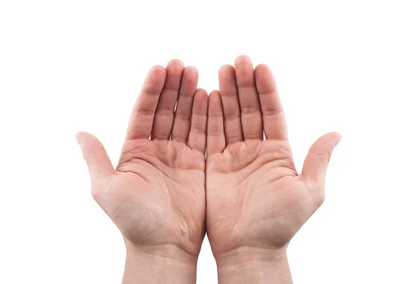 https://st2.depositphotos.com/1006593/10151/i/450/depositphotos_101519332-stock-photo-open-hands-holding-giving-showing.jpg