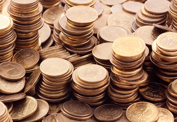 Polish coins macro shot — Stock Photo, Image
