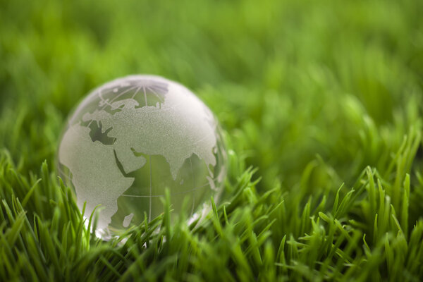 Хрустальный шар на зеленой траве. Мировая экологическая концепция
. 