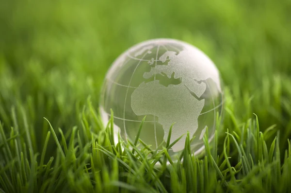 Crystal globe on green grass. World environmental concept. — Stock Photo, Image