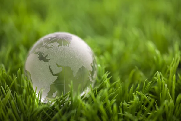 Кришталева куля на зеленій траві. Світова екологічна концепція . Стокова Картинка