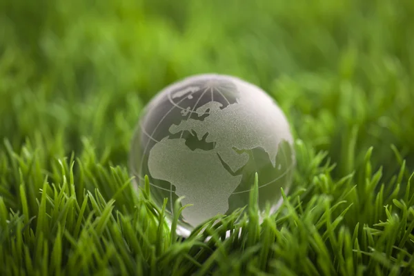 Křišťálový glóbus na zelené trávě. Koncepce životního prostředí světa. — Stock fotografie