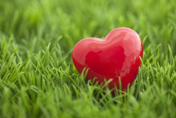 Petit coeur rouge sur l'herbe — Photo