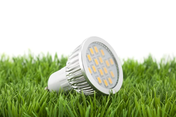 LED žárovka na zelené trávě — Stock fotografie