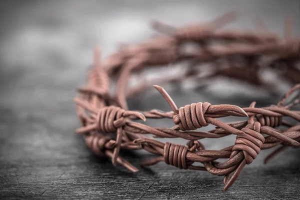 Barbed Wire Crown Thorns Macro Shot — Stock Photo, Image