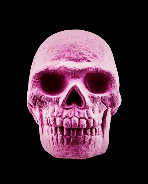 Pinkfarbener Menschlicher Schädel Isoliert Auf Schwarzem Hintergrund Mit Clipping Pfad — Stockfoto