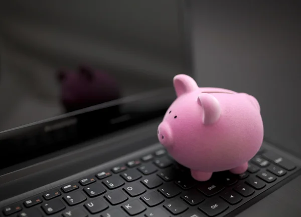 Piggy bank on laptop — Stock Photo, Image
