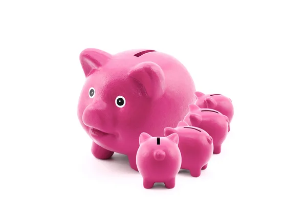 Roze piggy banks voederen van hun moeder — Stockfoto