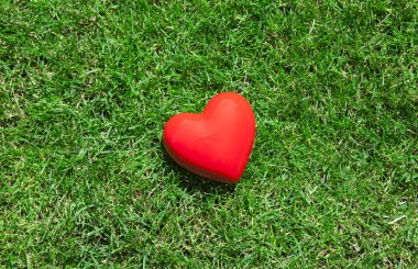 kırmızı kalp yeşil çimlerde