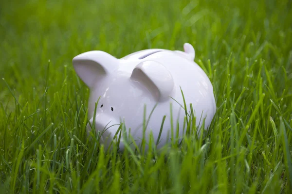 Piggy bank in green grass — Stock Photo, Image