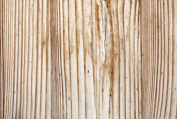 Gammel træ tekstur - Stock-foto