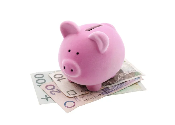 Piggy bank op Pools bankbiljetten. Uitknippad opgenomen. — Stockfoto