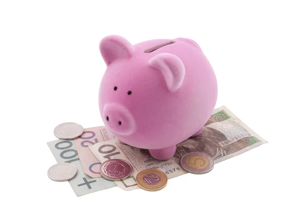 Piggy bank op Pools bankbiljetten. Uitknippad opgenomen. — Stockfoto