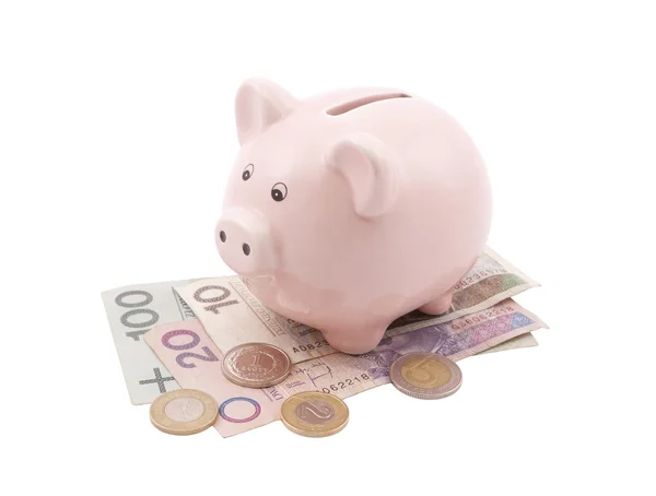 Piggy bank op Pools bankbiljetten. Uitknippad opgenomen. — Stockfoto