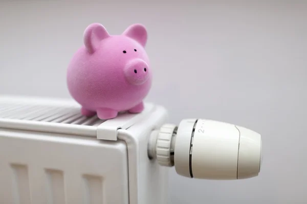 Pembe kumbara radyatör üzerinde. Enerji tasarrufu kavramı.