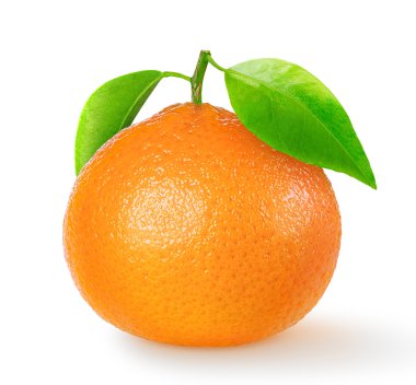 Bir izole mandalina