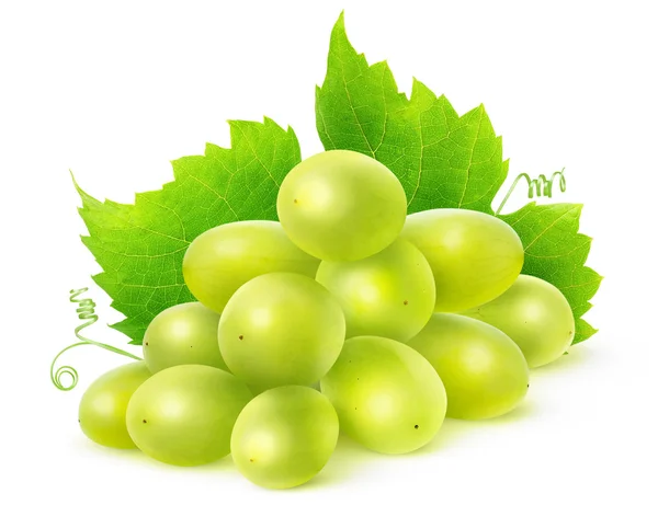 Geïsoleerde witte druiven — Stockfoto