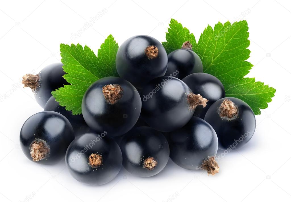 Isolated pile of black currants