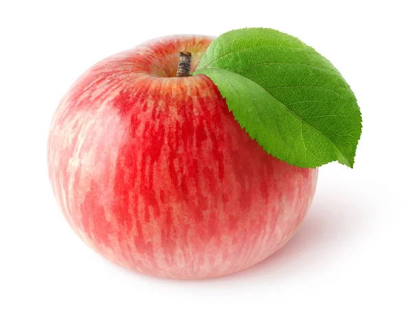 One isolated red apple — Stock Photo, Image