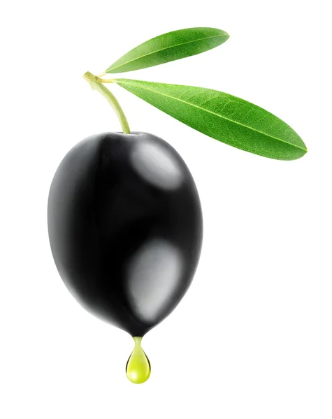 Isolated black olive with drop of oil — Stock Photo, Image